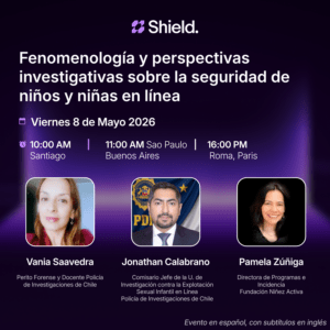 Phenomenology and Investigative Perspectives on Online Safety for Children